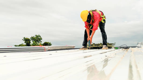Best Commercial Roofing Services  in Norfolk, NE
