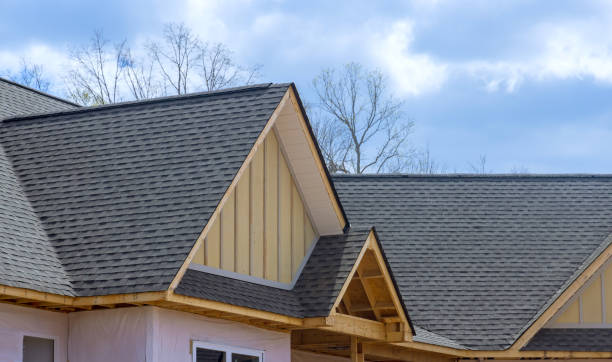 Best Roof Leak Repair  in Norfolk, NE